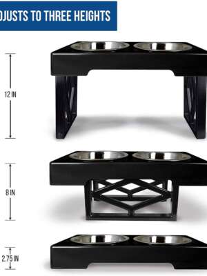 Double Raised Feeder Image