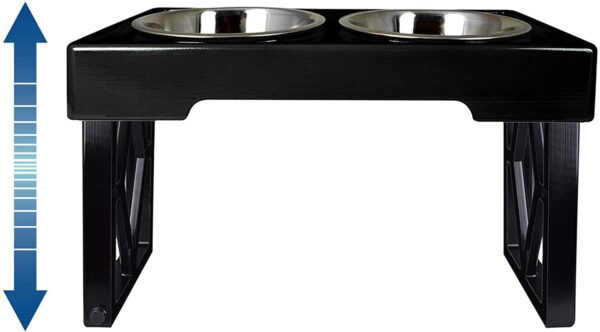 Double Raised Feeder Image 2