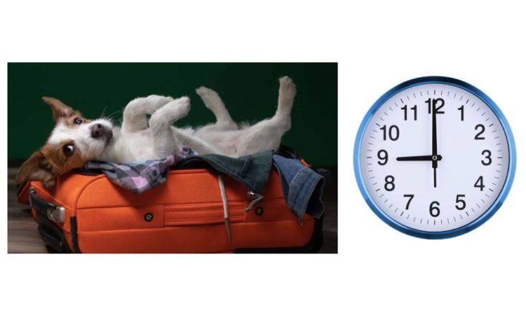 Canine-Standard-Boarding-9AM-Pick-Up-Time