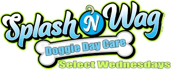 splash-and-wag-wednesdays