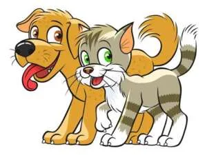 Sumter Pet Sitters Loves Dogs and Cats of all sizes