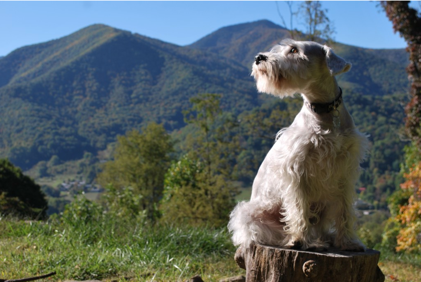 mountain-maxx-rotated