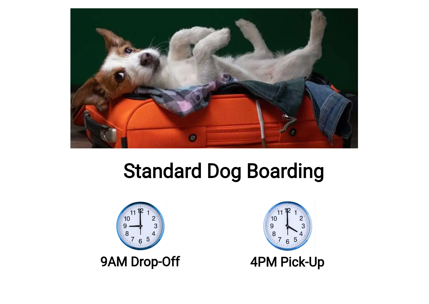 Standard-Dog-Boarding-9AM-DO-4PM-PU-Image