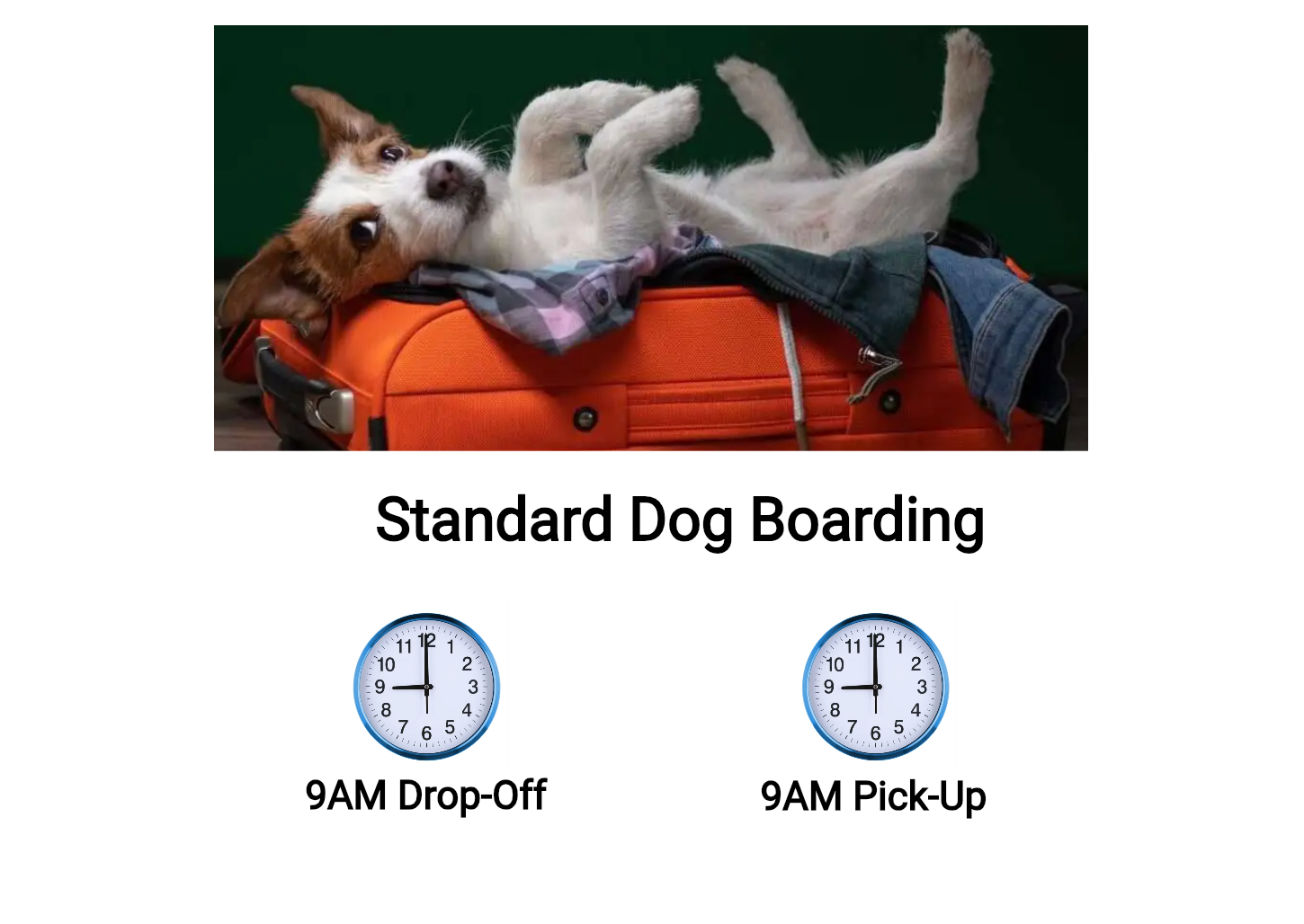Standard-Dog-Boarding-9AM-DO-9AM-PU-Image